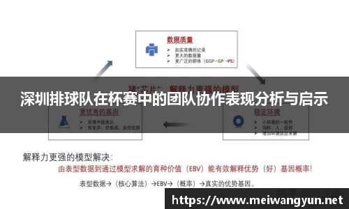 深圳排球队在杯赛中的团队协作表现分析与启示
